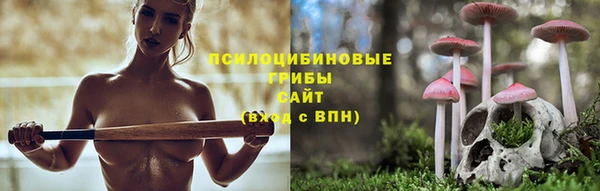 МДПВ Алексеевка