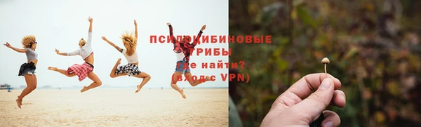 МДПВ Алексеевка
