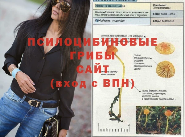 МДПВ Алексеевка